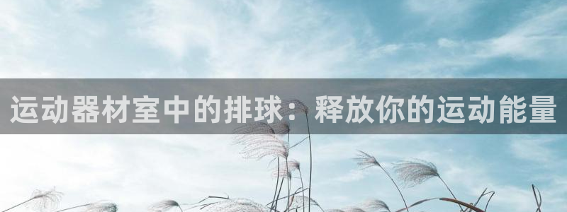极悦娱乐旗下艺人名单：运动器材室中的排球：释放你的运
