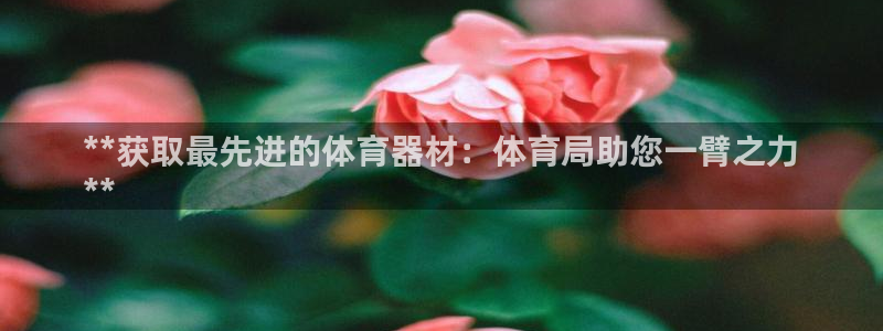 极悦牙膏怎么样好不好：**获取最先进的体育器材：体育