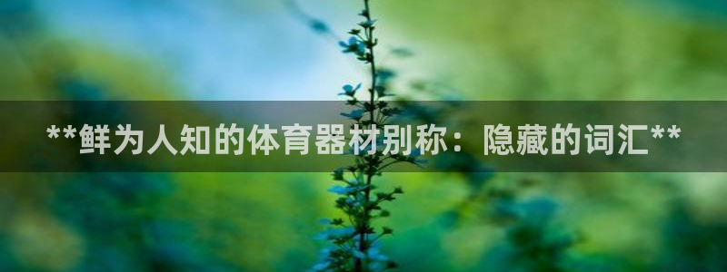极悦平台注册用户名格式不正确：**鲜为人知的体育器材