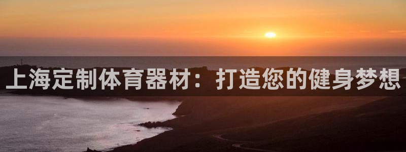 极悦平台使用教程：上海定制体育器材：打造您的健身梦想
