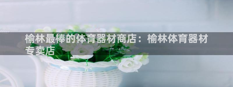 极悦平台是干什么的：榆林最棒的体育器材商店：榆林体育