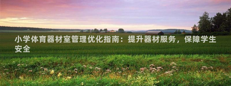 极悦平台基7O777：小学体育器材室管理优化指南：提