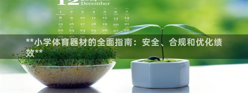 极悦娱乐方7O777：**小学体育器材的全面指南：安