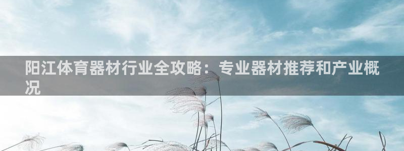 极悦娱乐官网下载：阳江体育器材行业全攻略：专业器材推