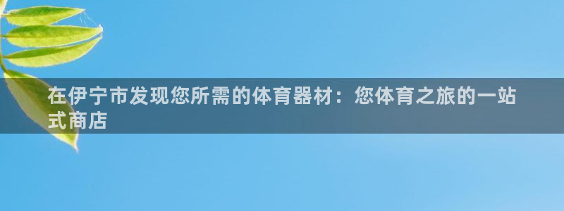 极悦娱乐官网客服联系方式是什么：在伊宁市发现您所需的