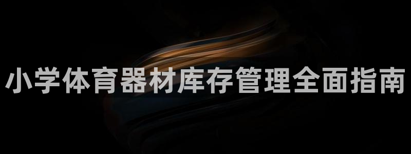 极悦平台登录方式是什么：小学体育器材库存管理全面指南