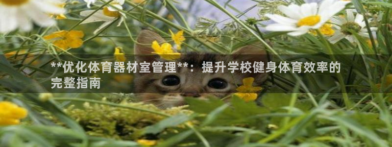 极悦平台客服的联系方式是什么：**优化体育器材室管理