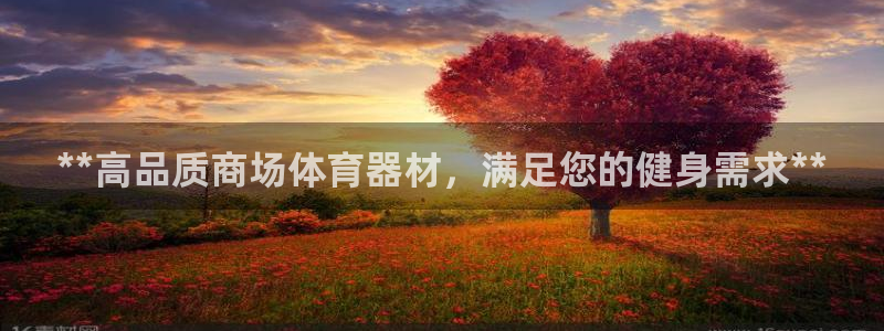 极悦平台官网登录不了了：**高品质商场体育器材，满足