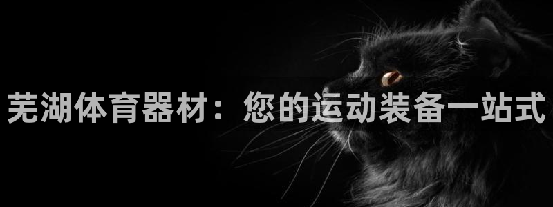 极悦平台app二维码怎么弄出来：芜湖体育器材：您的运