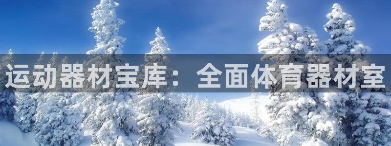极悦官方网站app下载：运动器材宝库：全面体育器材室