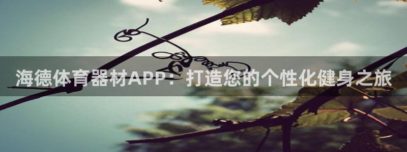 极悦平台官网登录网址是多少：海德体育器材APP：打造