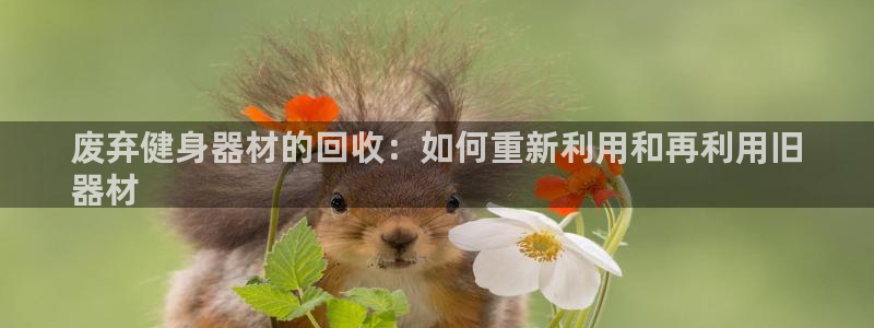 极悦官网注册最新版本更新内容：废弃健身器材的回收：如