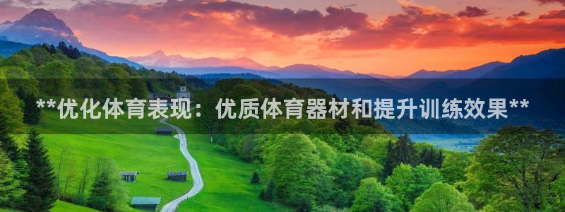 极悦平台是什么公司：**优化体育表现：优质体育器材和