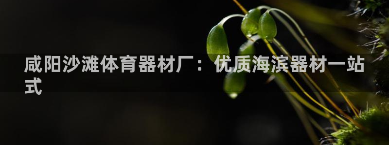 极悦平台客服团队名称：咸阳沙滩体育器材厂：优质海滨器