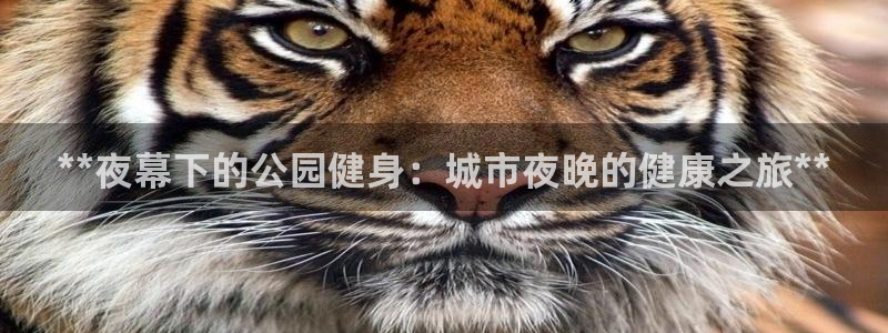 极悦平台注册流程：**夜幕下的公园健身：城市夜晚的健