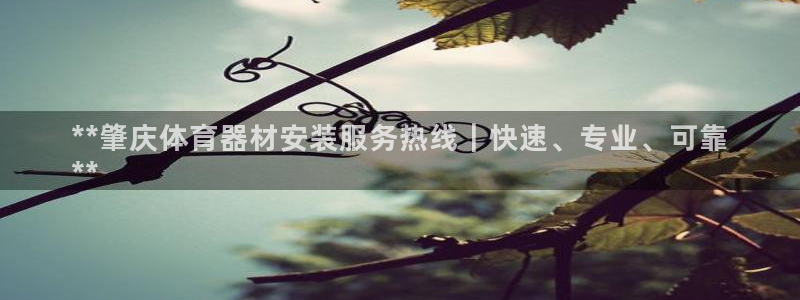 极悦平台注册官网下载：**肇庆体育器材安装服务热线｜