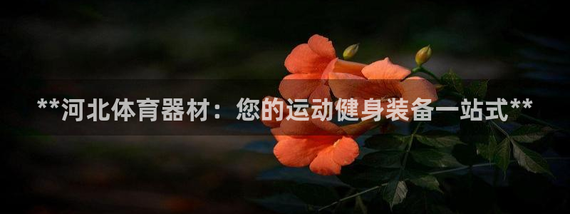 极悦娱乐会被骗吗知乎文章：**河北体育器材：您的运动