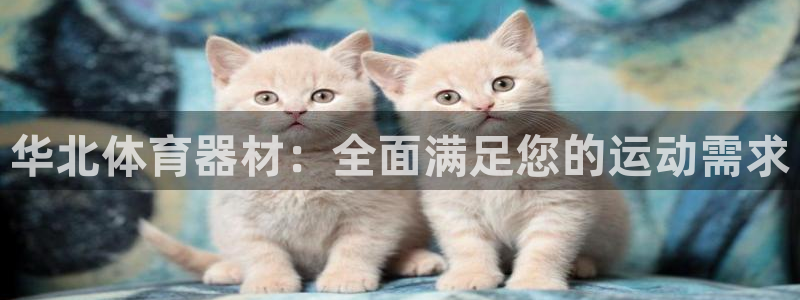 极悦平台代理：华北体育器材：全面满足您的运动需求
