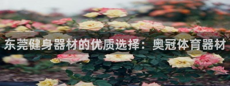 极悦娱乐官网app下载安装：东莞健身器材的优质选择：