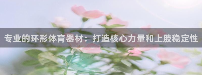 极悦娱乐代理多少钱：专业的环形体育器材：打造核心力量