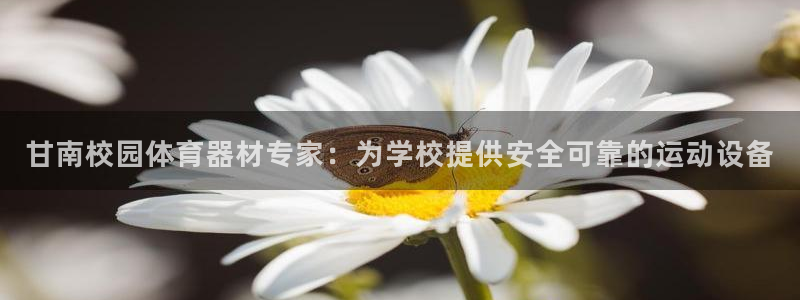 极悦娱乐公司最新招聘信息网：甘南校园体育器材专家：为