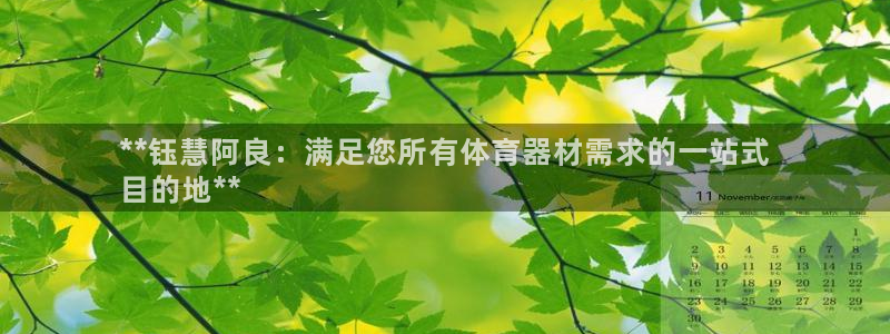 极悦平台注册失败如何解决：**钰慧阿良：满足您所有体