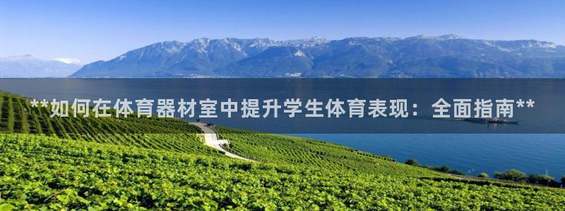 极悦平台是干什么的公司：**如何在体育器材室中提升学