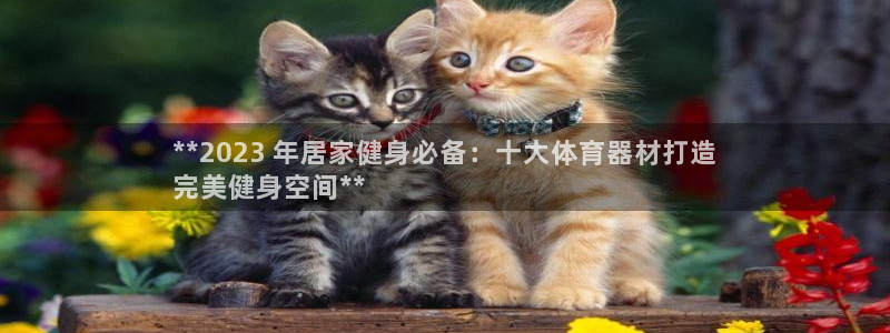 极悦平台官网登录不了：**2023 年居家健身必备：