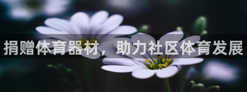 极悦平台官网入口下载：捐赠体育器材，助力社区体育发展