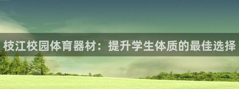 极悦平台平台注册方法与步骤图：枝江校园体育器材：提升