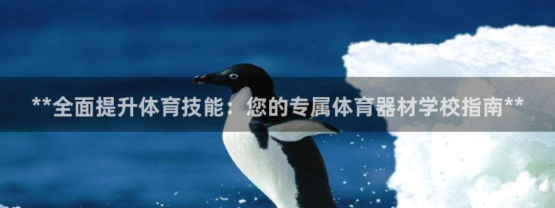极悦平台用户评价在哪里看：**全面提升体育技能：您的