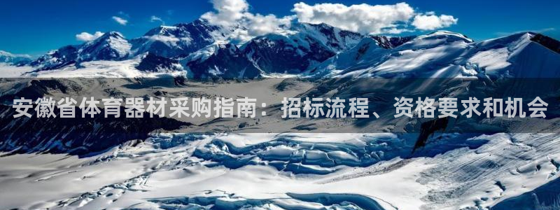 极悦平台安全吗：安徽省体育器材采购指南：招标流程、资