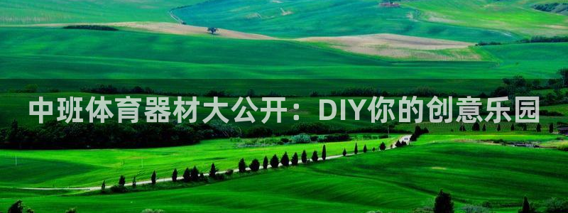 极悦娱乐官网最新版本更新内容下载：中班体育器材大公开