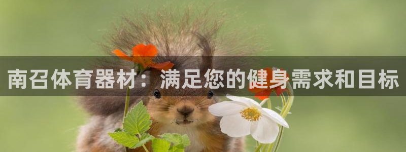 极悦平台创始人背景故事是什么：南召体育器材：满足您的