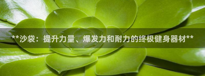 极悦娱乐创始人背景故事简介：**沙袋：提升力量、爆发