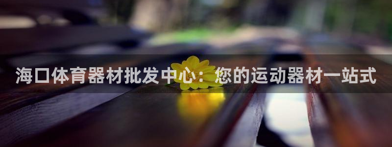 极悦平台登录7.0.2.4手机版下载：海口体育器材批