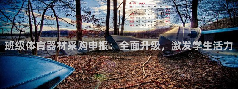 极悦平台好7.0.2.4怎么样：班级体育器材采购申报