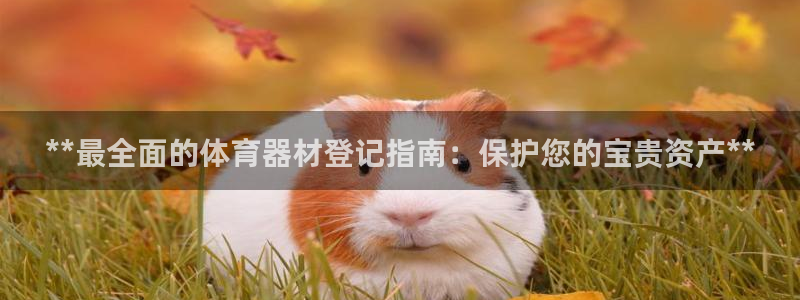 极悦平台注册资金多少钱：**最全面的体育器材登记指南