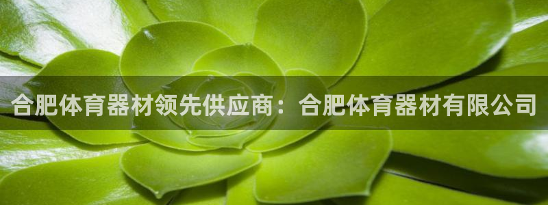 极悦生活家是什么平台的软件：合肥体育器材领先供应商：