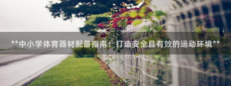 极悦平台客服投诉电话是多少：**中小学体育器材配备指