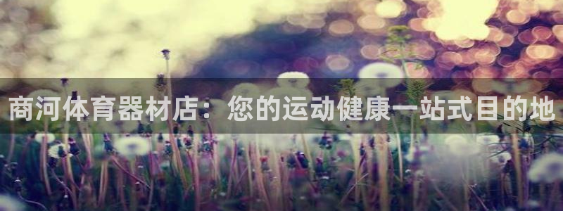 极悦官方网站入口：商河体育器材店：您的运动健康一站式