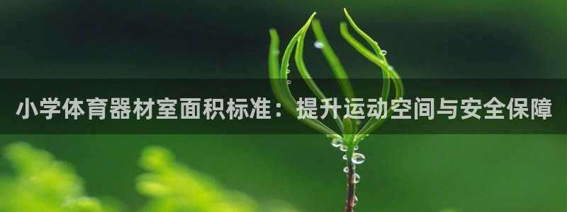极悦平台注册登录入口在哪：小学体育器材室面积标准：提