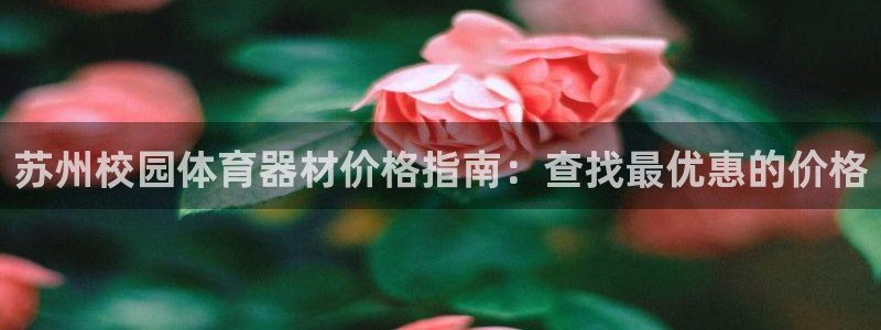 极悦平台代理怎么做赚钱：苏州校园体育器材价格指南：查