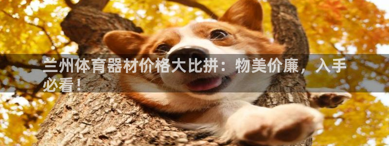 极悦平台官网登录入口：兰州体育器材价格大比拼：物美价