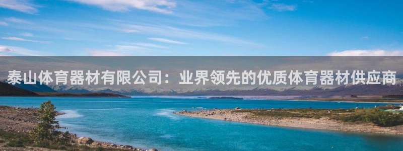 极悦官网旗舰店是正品吗：泰山体育器材有限公司：业界领