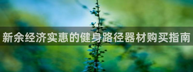 极悦娱乐：新余经济实惠的健身路径器材购买指南