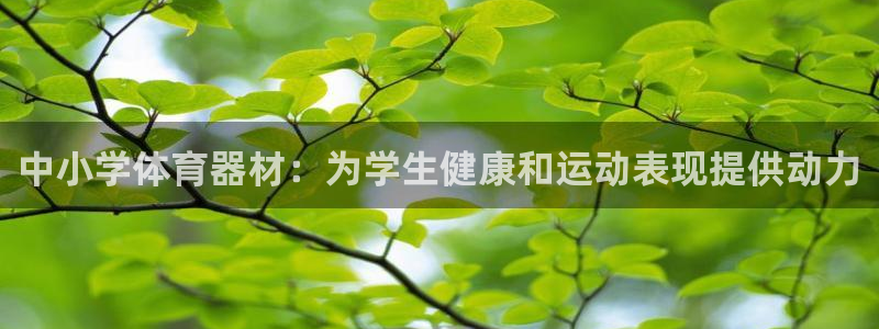 舒客极悦牙膏：中小学体育器材：为学生健康和运动表现提