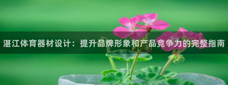 极悦娱乐的创始人背景故事简介：湛江体育器材设计：提升