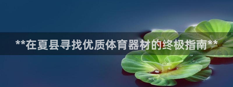 极悦平台用户评价：**在夏县寻找优质体育器材的终极指