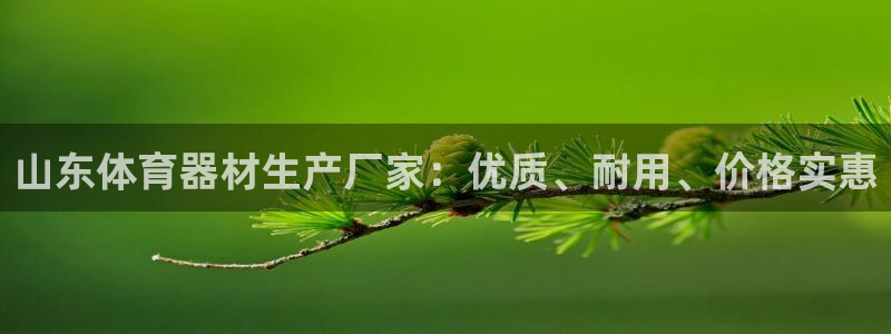 极悦平台注册流程：山东体育器材生产厂家：优质、耐用、